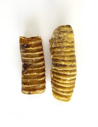 MR. BONES Tráquea de Ternera (2 uds) - Snack...