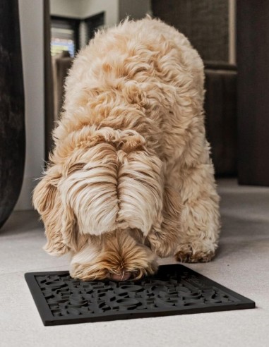 District 70 Alfombrilla Antivoracidad Negro