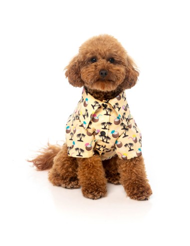 FuzzYard Camisa Hawaiana Sandy Coconut - Talla 4