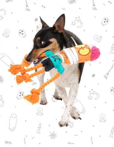 FuzzYard Halloween - Ghoulia Roberts