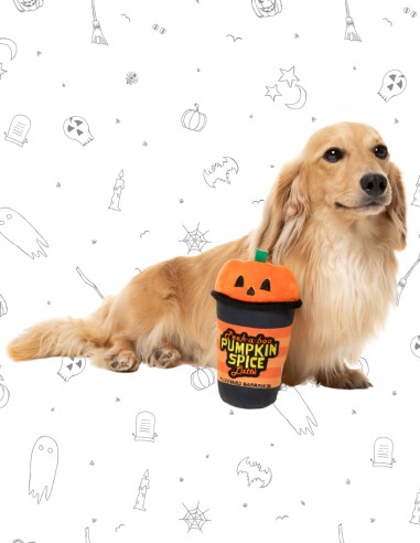 FuzzYard Halloween - Peek-A-Boo Pumpkin Spice...