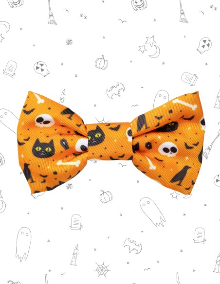 FuzzYard Halloween Cat Fashion Pack - Spooky Kitty