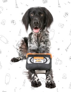 FuzzYard Halloween - Horror Film 2