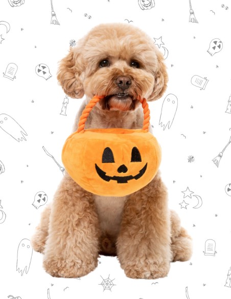 FuzzYard Halloween - Trick or Treat Pumpkin Basket