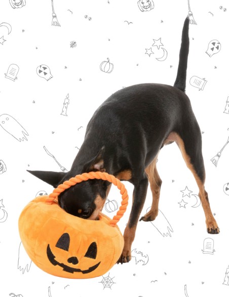 FuzzYard Halloween - Trick or Treat Pumpkin Basket