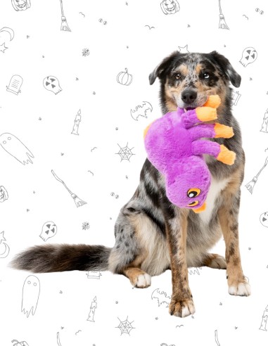 FuzzYard Halloween - Weborah The Spider - Purple L