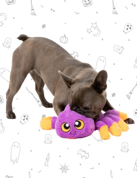 FuzzYard Halloween - Weborah The Spider - Purple L