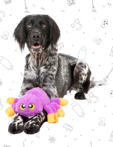 FuzzYard Halloween - Weborah The Spider - Purple L