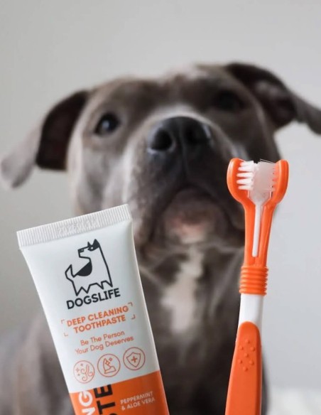 DogsLife Kit de Higiene Dental - Para Perros