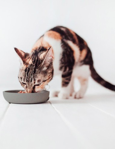 District 70 Comedero de Bambú Natural Gris -...