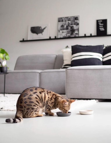 District 70 Comedero de Bambú Natural Gris -...