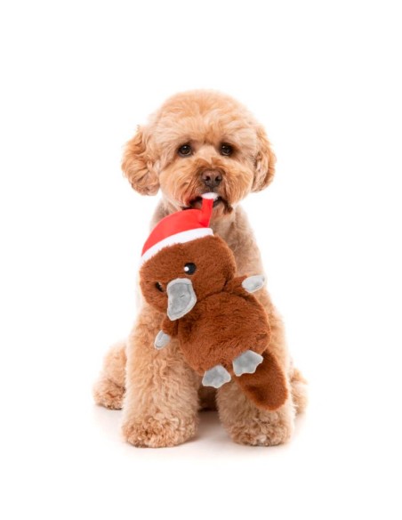 FuzzYard Xmas Toy - A-Wreatha the Platypus