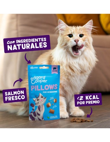 Edgard & Cooper Bocaditos de Salmón 60g -...