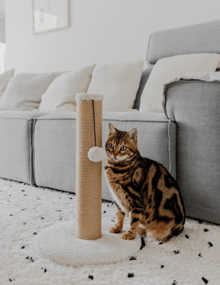 District 70 Poste Rascador DONNA Blanco 50cm - Para Gatos