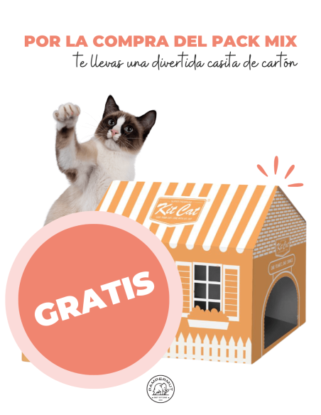 Pack MIX Arena Second Chance Kit Cat