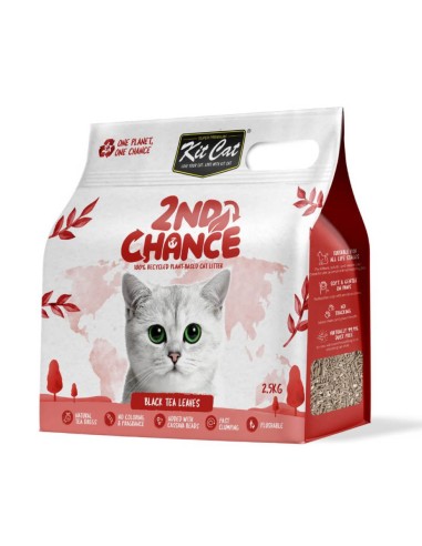 Pack MIX Arena Second Chance Kit Cat