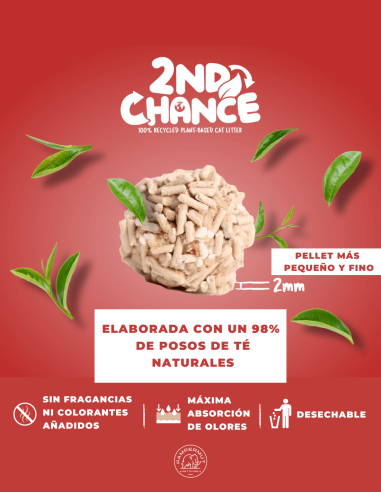 Pack MIX Arena Second Chance Kit Cat