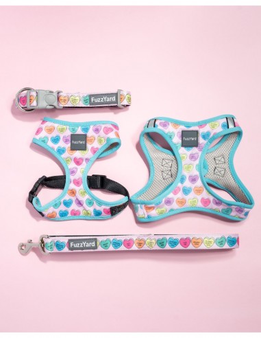 FUZZYARD Arnés Step In Candy Hearts - Para Perros