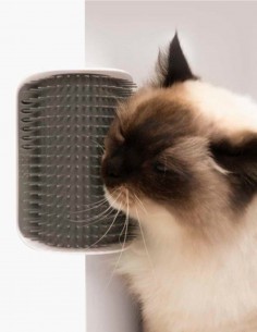 Catit Cepillo Masajeador de Pared con Catnip - Para Gatos