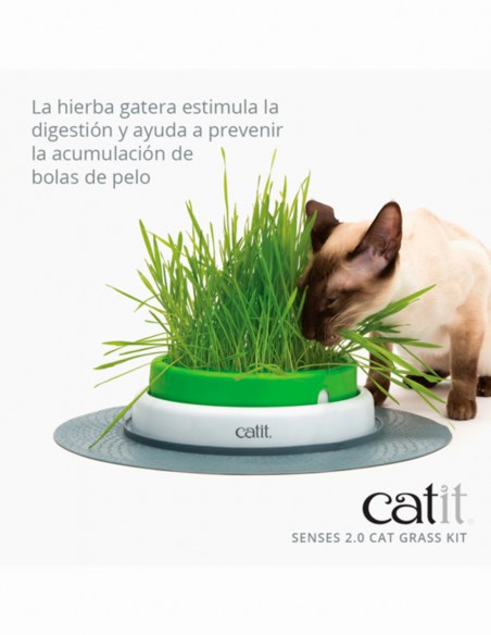 Catit Recambio de Hierba Gatera - Para Gatos