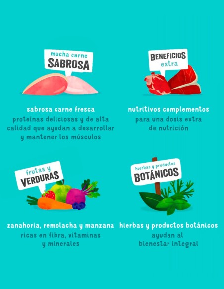 EDGARD COOPER Pack Degustación 6x400g - Comida Húmeda para Perros