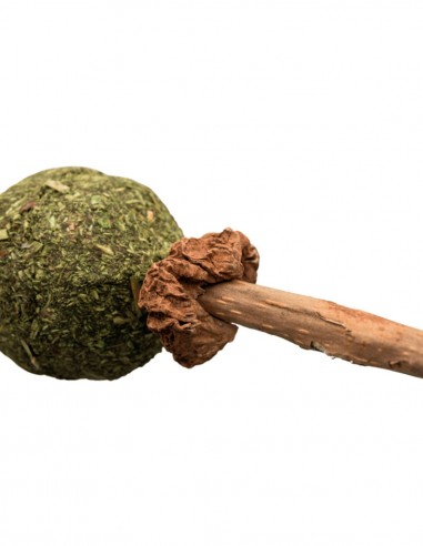 Piruleta de Matatabi 11cm - Juguete para Gatos