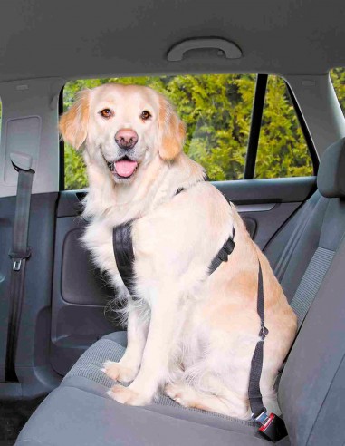 TRIXIE Cinturón de Seguridad Universal Coche -...
