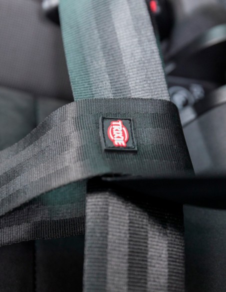 TRIXIE Correa para cinturón de Seguridad del Coche 30cm/45mm - Para Perros