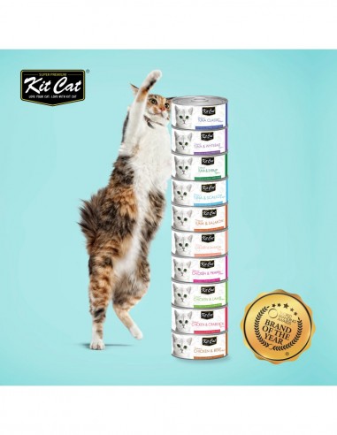 Pack Degustación Kit Cat 24 uds - Comida Húmeda...