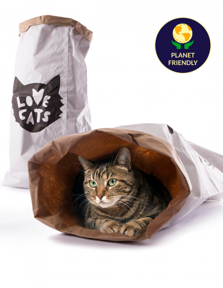 Bolsa de Cartón Escondite Multi Juegos - Juguete para Gatos