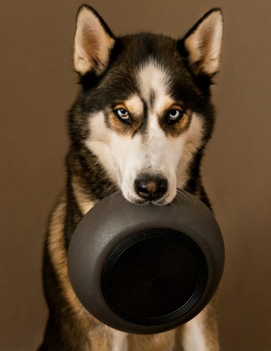 District 70 Comedero de Bambú Natural Negro M -...