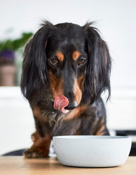 District 70 Comedero de Bambú Natural Ice Blue L - Para Perros