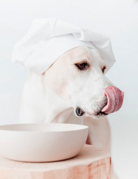 District 70 Comedero de Bambú Natural Merengue S - Para Perros