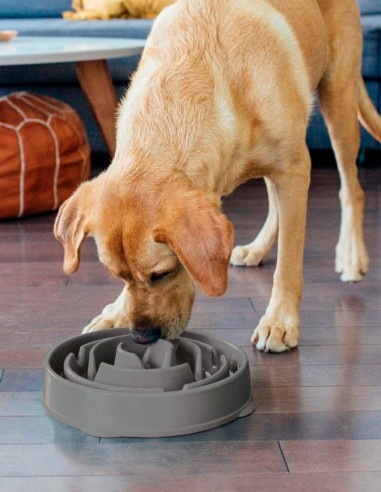 Slow Feed Comedero antivoracidad Gris 475ml