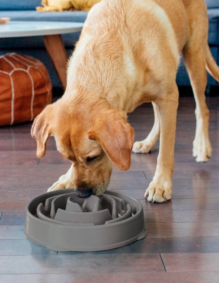 Slow Feed Comedero antivoracidad Gris 950ml