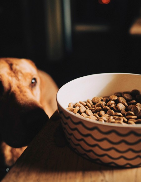 Beco Comedero de Bambú Natural Waves L - Para Perros