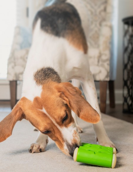 Ribinator Mordedor + Juguete Interactivo con Snacks L - Para Perros