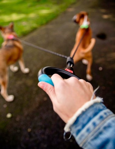 Correa para perros doble con Asa cómoda de Gel...