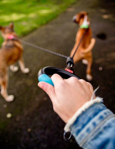 Correa para perros doble con Asa cómoda de Gel S (-27kg)