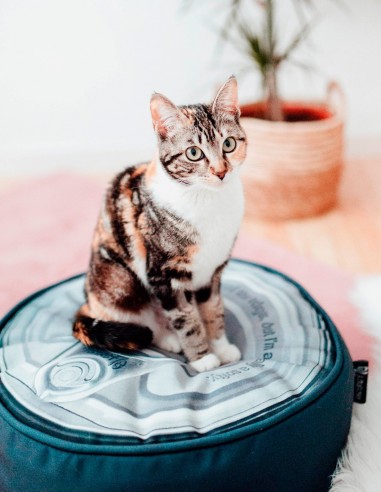 District 70 Puff Diseño de Lata color Acero