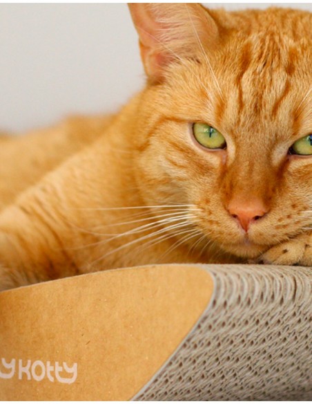 Rascador Tobi Elegante de Cartón MARRÓN - Juguete para Gatos