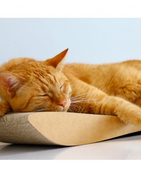 Rascador Tobi Elegante de Cartón MARRÓN - Juguete para Gatos