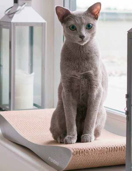 Rascador Tobi Elegante de Cartón GRIS - Juguete para Gatos