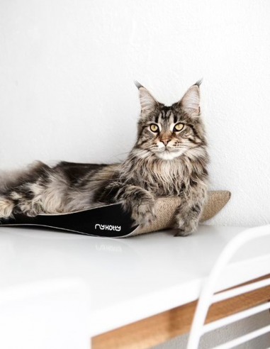 Rascador Tobi Elegante de Cartón NEGRO -...