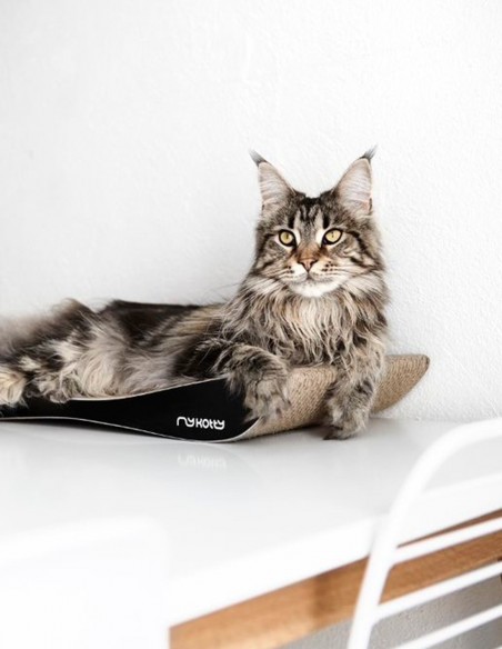 Rascador Tobi Elegante de Cartón NEGRO - Juguete para Gatos