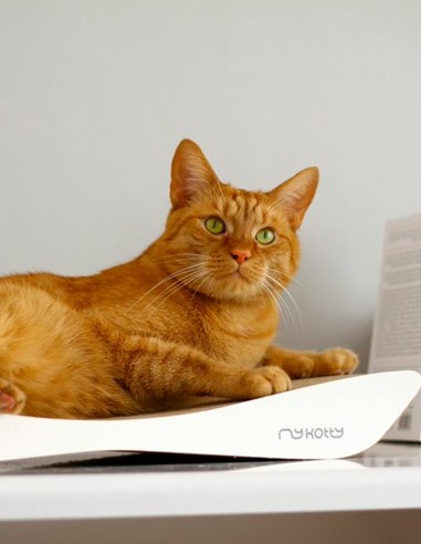 Rascador Tobi Elegante de Cartón BLANCO -...