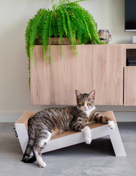 District 70 Rascador Lounge Sofá de Cartón Blanco - Para Gatos