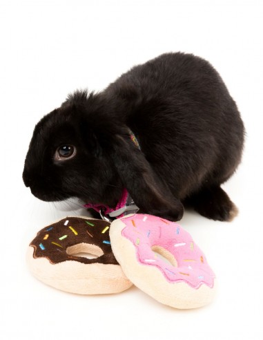 FUZZYARD Donut doble - Peluche para perro