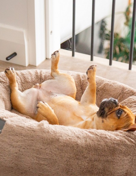 Cama Antiestrés para perros Dreameazzzy Chai