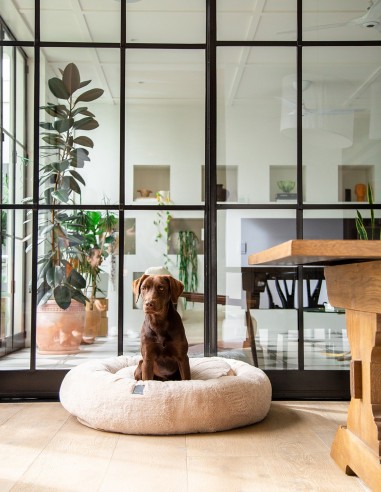 Cama Antiestrés para perros Dreameazzzy Chai